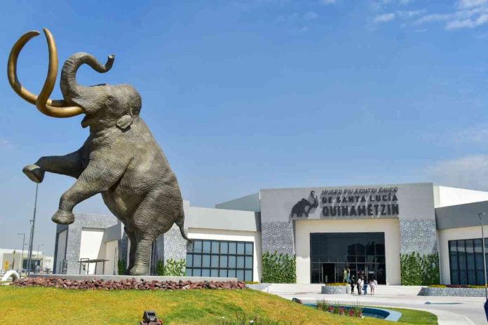 museo-del-mamut-santa-lucia